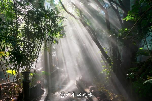 空间更大！新能源纯电动出租车亮相拉萨